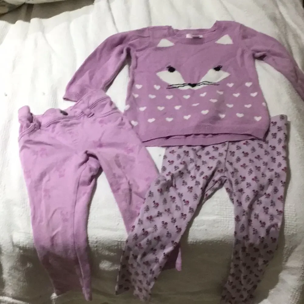 Lavander Fox sweater leggings bundle 18-24…